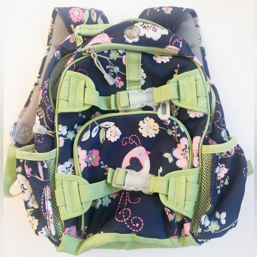 Pottery Barn Kids Green and Blue backpack